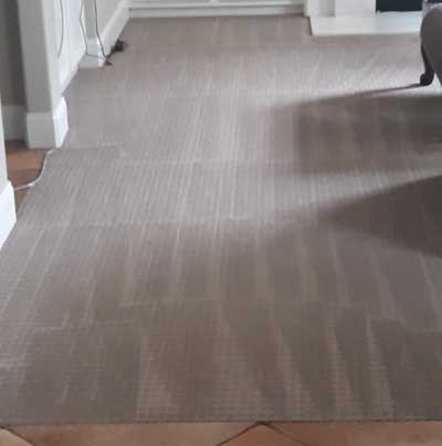 Knockout Carpet Cleaning carpet after cleaning